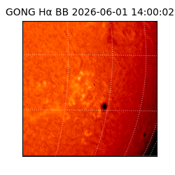 gong - 2026-06-01T14:00:02