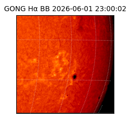 gong - 2026-06-01T23:00:02