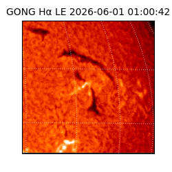 gong - 2026-06-01T01:00:42