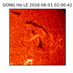 gong - 2026-06-01T02:00:42