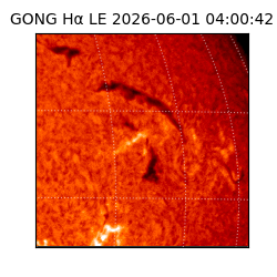 gong - 2026-06-01T04:00:42