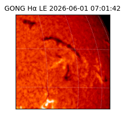 gong - 2026-06-01T07:01:42