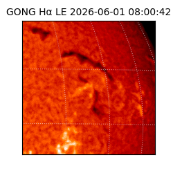 gong - 2026-06-01T08:00:42