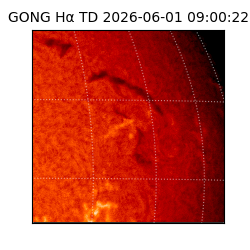 gong - 2026-06-01T09:00:22
