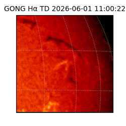 gong - 2026-06-01T11:00:22
