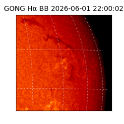 gong - 2026-06-01T22:00:02