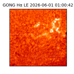 gong - 2026-06-01T01:00:42