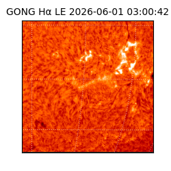 gong - 2026-06-01T03:00:42