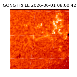 gong - 2026-06-01T08:00:42