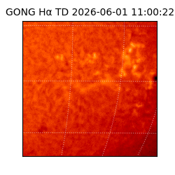 gong - 2026-06-01T11:00:22