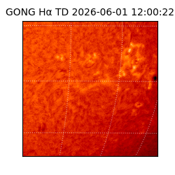 gong - 2026-06-01T12:00:22