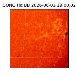 gong - 2026-06-01T19:00:02