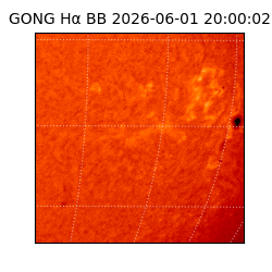 gong - 2026-06-01T20:00:02