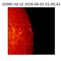 gong - 2026-06-01T01:00:42