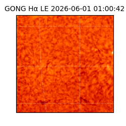 gong - 2026-06-01T01:00:42
