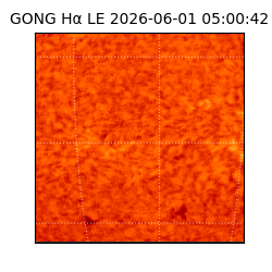 gong - 2026-06-01T05:00:42