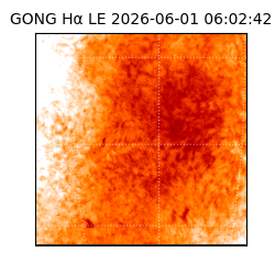 gong - 2026-06-01T06:02:42