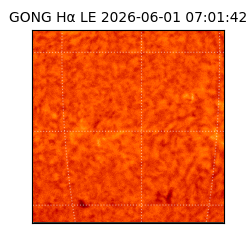 gong - 2026-06-01T07:01:42