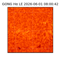 gong - 2026-06-01T08:00:42