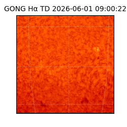 gong - 2026-06-01T09:00:22