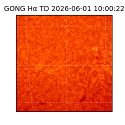 gong - 2026-06-01T10:00:22