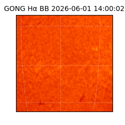 gong - 2026-06-01T14:00:02