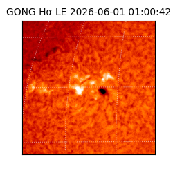 gong - 2026-06-01T01:00:42