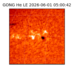gong - 2026-06-01T05:00:42