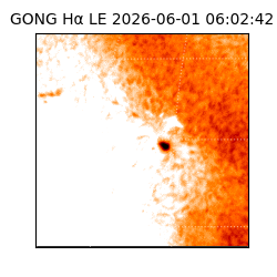 gong - 2026-06-01T06:02:42