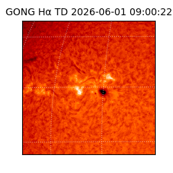 gong - 2026-06-01T09:00:22