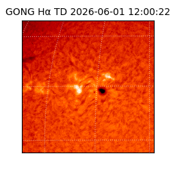 gong - 2026-06-01T12:00:22