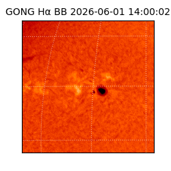 gong - 2026-06-01T14:00:02