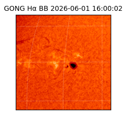 gong - 2026-06-01T16:00:02