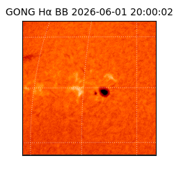 gong - 2026-06-01T20:00:02