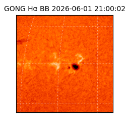 gong - 2026-06-01T21:00:02