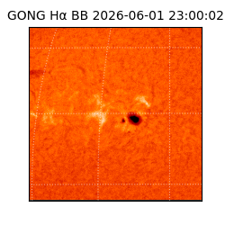gong - 2026-06-01T23:00:02