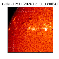 gong - 2026-06-01T03:00:42