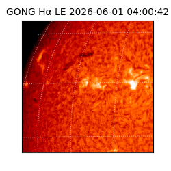 gong - 2026-06-01T04:00:42