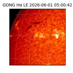 gong - 2026-06-01T05:00:42