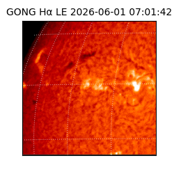 gong - 2026-06-01T07:01:42
