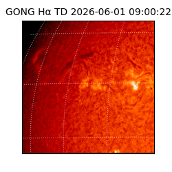 gong - 2026-06-01T09:00:22