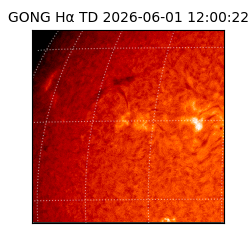 gong - 2026-06-01T12:00:22