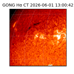 gong - 2026-06-01T13:00:42