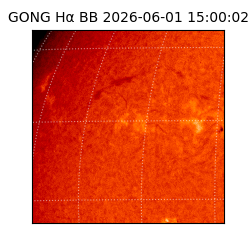 gong - 2026-06-01T15:00:02