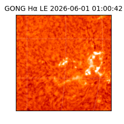 gong - 2026-06-01T01:00:42