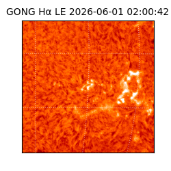 gong - 2026-06-01T02:00:42