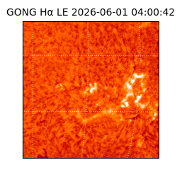 gong - 2026-06-01T04:00:42