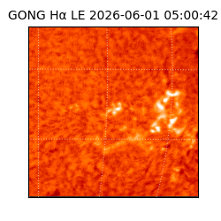 gong - 2026-06-01T05:00:42