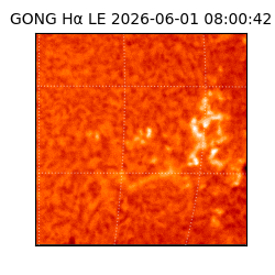 gong - 2026-06-01T08:00:42