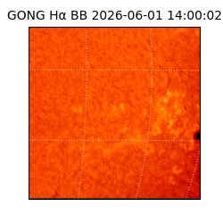gong - 2026-06-01T14:00:02